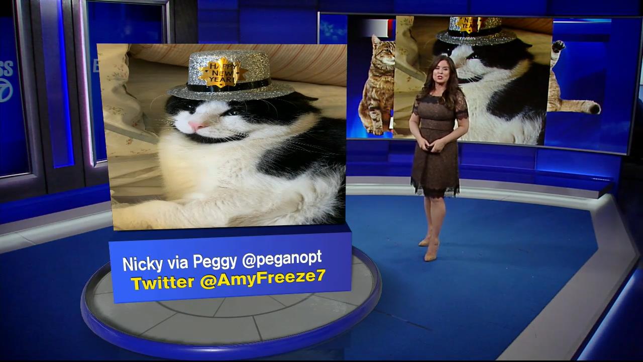 28 December - 11.00.00 - Eyewitness News This Morning. News.ts_s