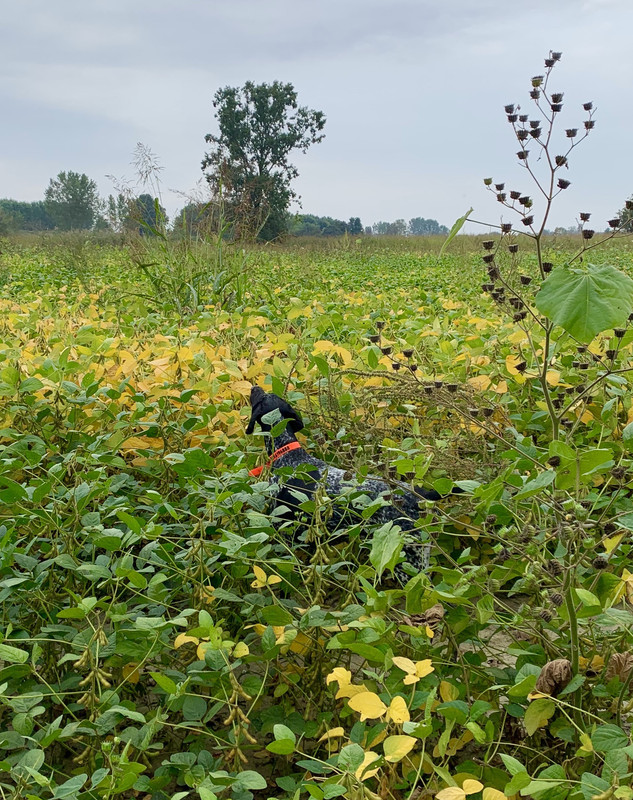 0F0CD1C6-65A3-41C3-9F23-280489E7EA1F