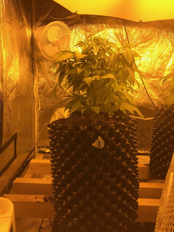 3170344F-9B50-4D35-9261-ADCED860C98F