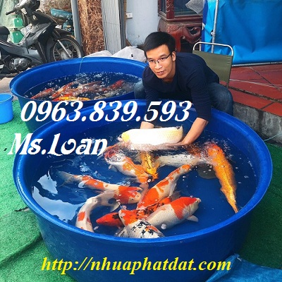 Thùng nhựa tròn, thùng nhựa chữ nhật, thùng nuôi cá giá rẻ / 0963.839.593 Ms.Loan Noi-ban-thung-nhua-nuoi-ca-re-hcm-1