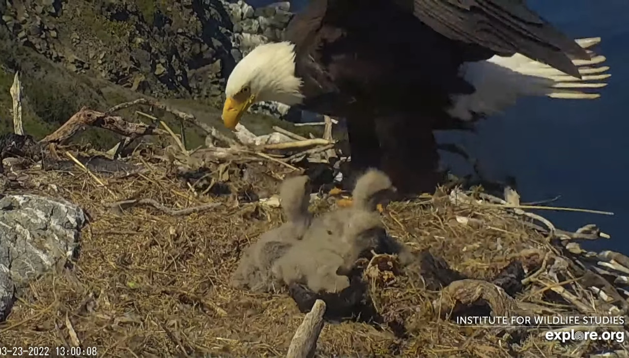 24990FB1-B1C7-45D8-9BFA-309417F770EB