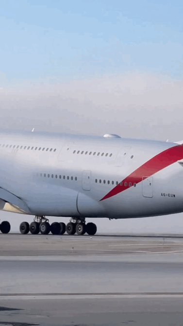 931C595E-1DDC-473B-A784-F23A18A0939B.gif