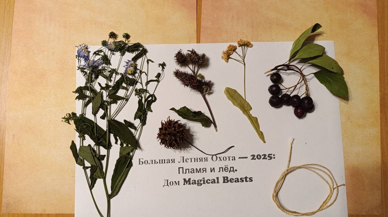 Ход работы гербарий 1