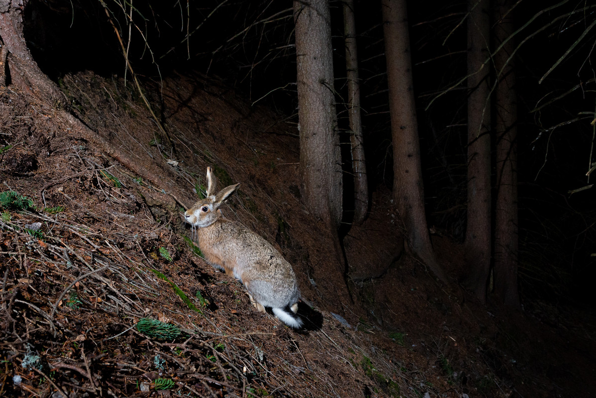 BD26CFB0-7B2C-4F97-A1C1-0607B3541A3C