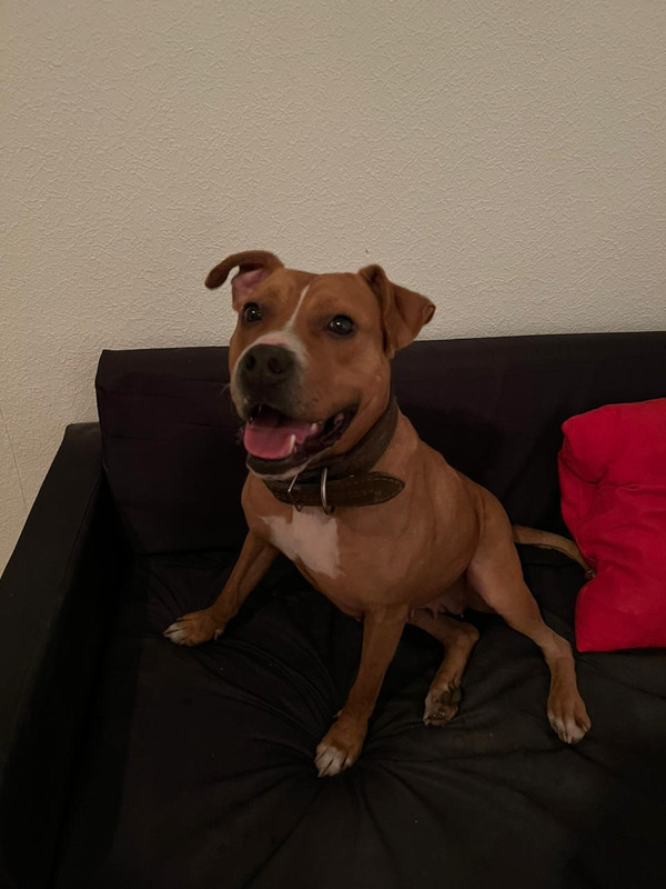 31E40444-EE78-4118-A417-F79D5F55EAE7