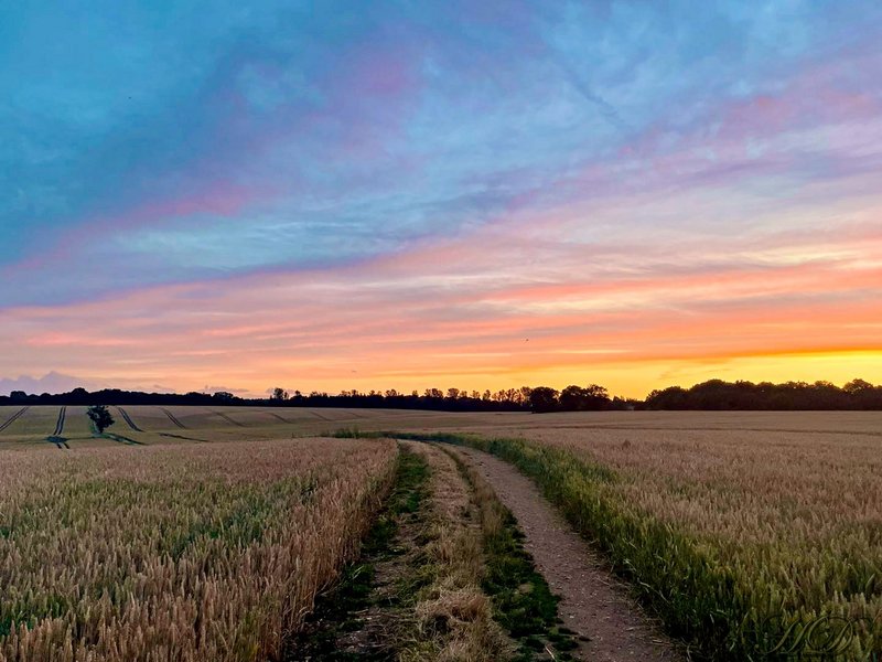 sunset-HD.jpg