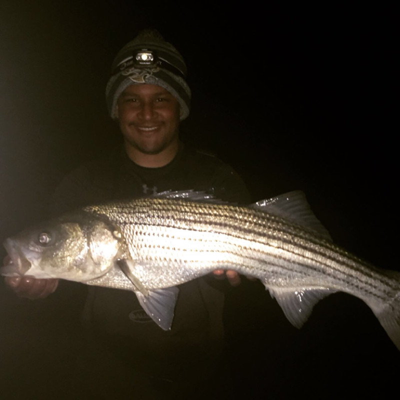 Striper