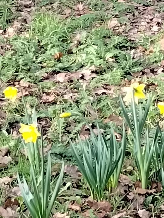 IMG 20260123 103923736