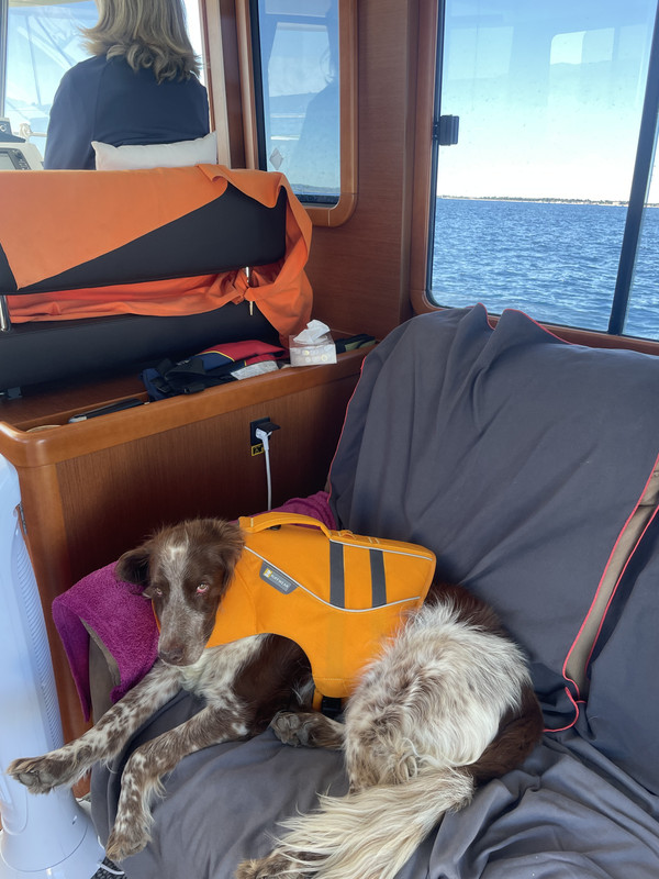 68D36078-7A68-48F4-8FBA-843E0542E6A8