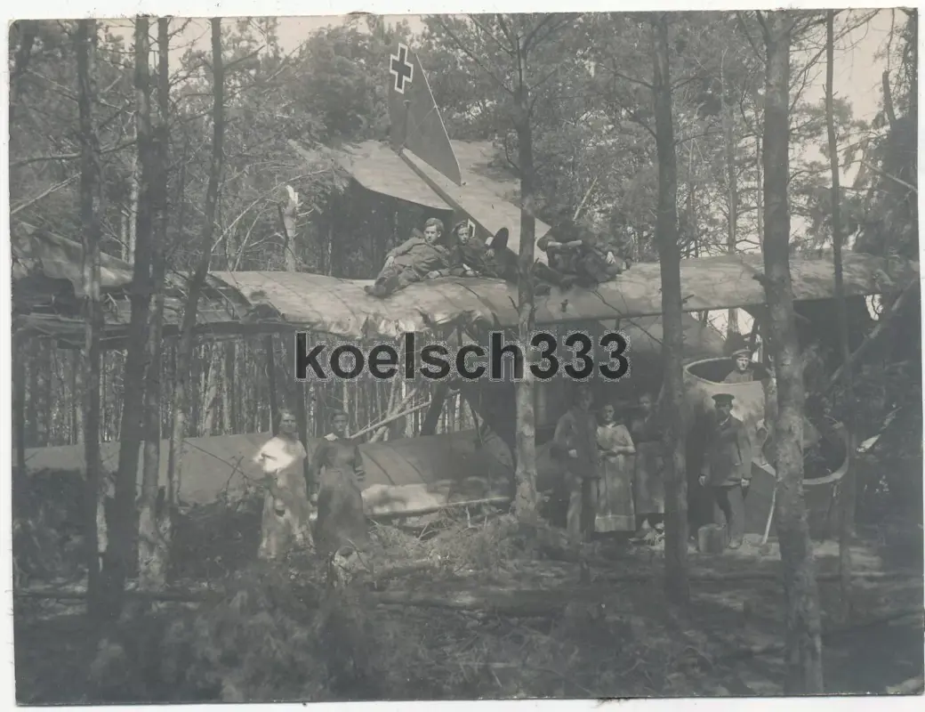 Foto Doppeldecker Flugzeug Wrack Ltn. Thiel im Wald in Frankfurt Oder 1918 (1)