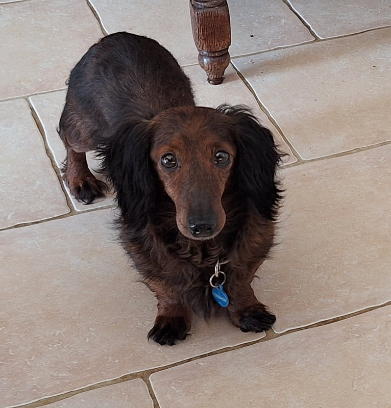 [Image: 20250201-133034.jpg]