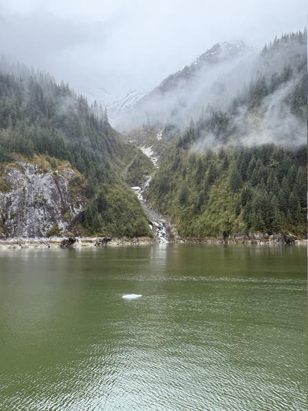 IMG-1828.jpg