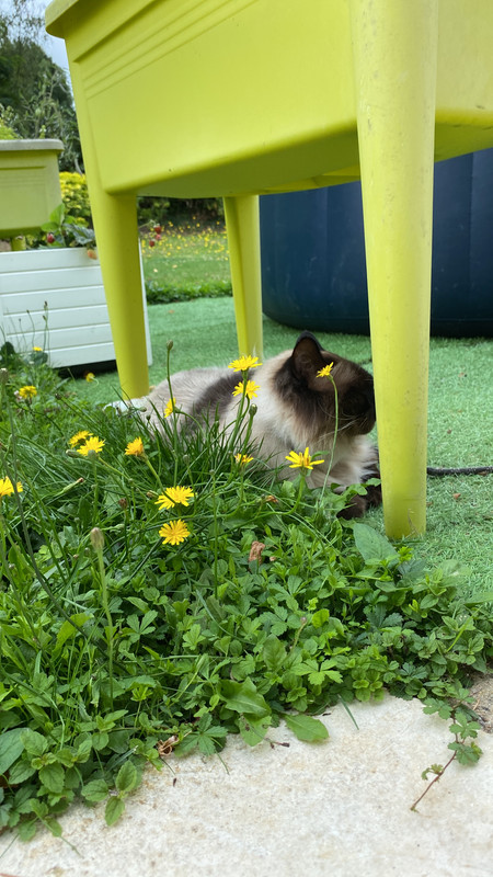 A1AB67DD-E9D8-40E8-B5B4-85DCA5B1545F