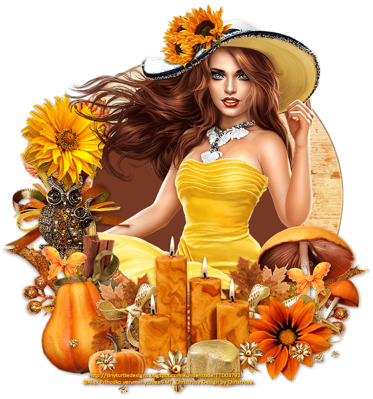 An den Beitrag angehängtes Bild: https://i.postimg.cc/tRx2DCfp/27-9-2021.png