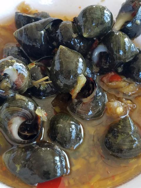 [Image: 14-Snails.jpg]