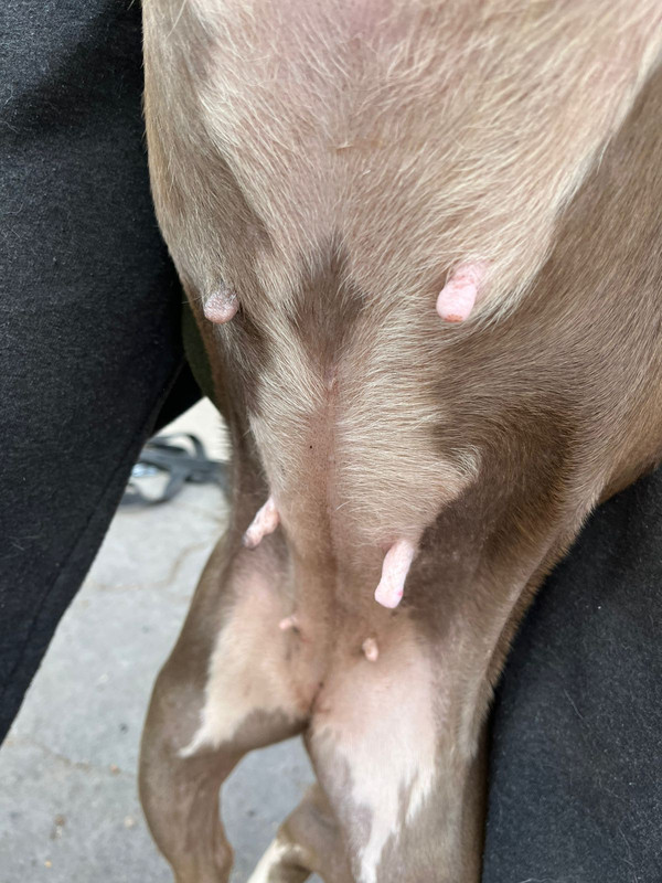 WhatsApp Image 2022-09-13 at 13.01.33 (1)