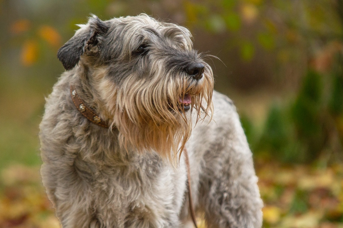 6zMN1qPg4RiMnYSyVHQx91GrkQbU-0LwIEBcToTbfTTtE0d0XZOzjOf1S5Csylw4exlP9QXhU-pYDk1v7XCCfpFZ