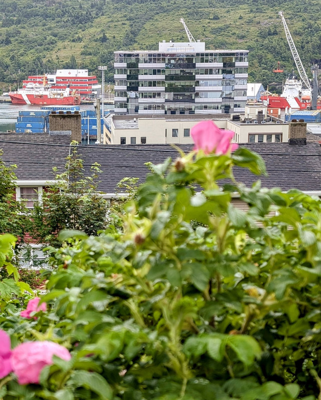 PXL_20240717_100148771.MP~2