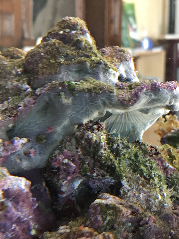 552B272F-DD90-441B-9501-8A1C477E0C0B