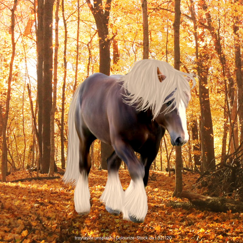 Untitled42-20210119154811.png