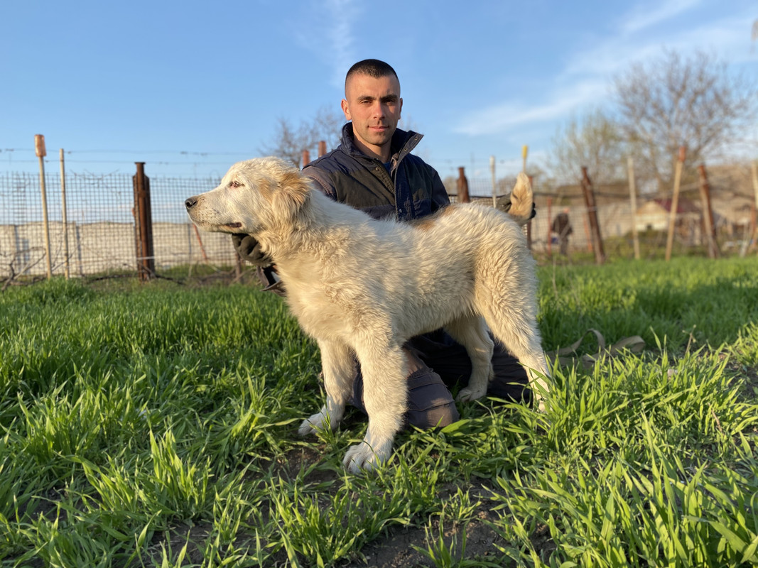 2E1102A3-2B51-4ACE-ADF4-01E5D5C8D018