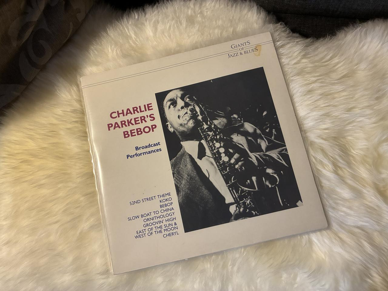 [Bild: IMG-1624.jpg]