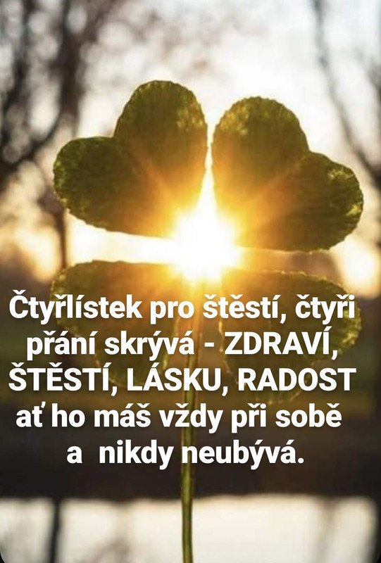 379929015-699880255517485-9177042990156279537-n.jpg