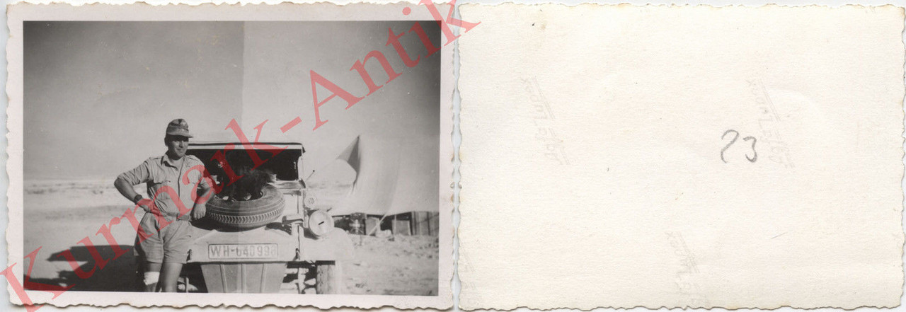 Foto Wehrmacht DAK Afrika VW Kübel Typ 82 Kennun