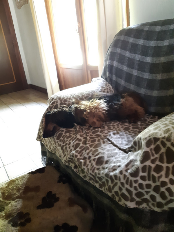 [Image: 20230919-152002.jpg]