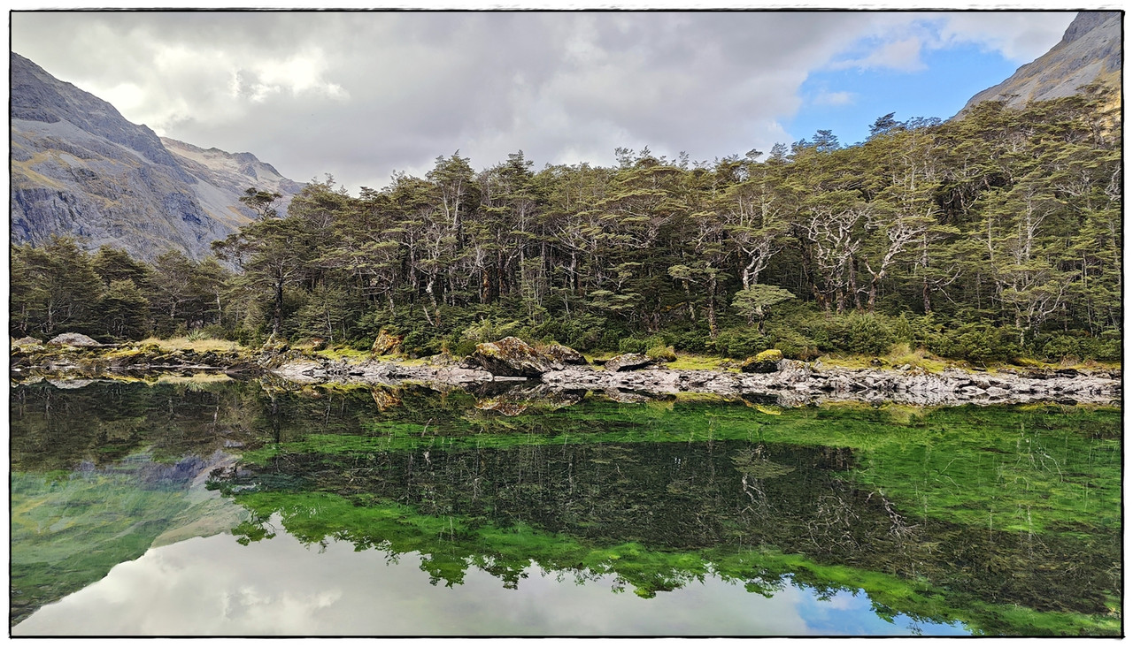 Nelson Lakes NP: Blue Lake Circuit (abril 2023) - Escapadas y rutas por la Nueva Zelanda menos conocida (45)