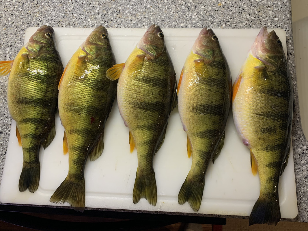 67202C11-B823-448A-BCC1-FE3B9AFB5D5A