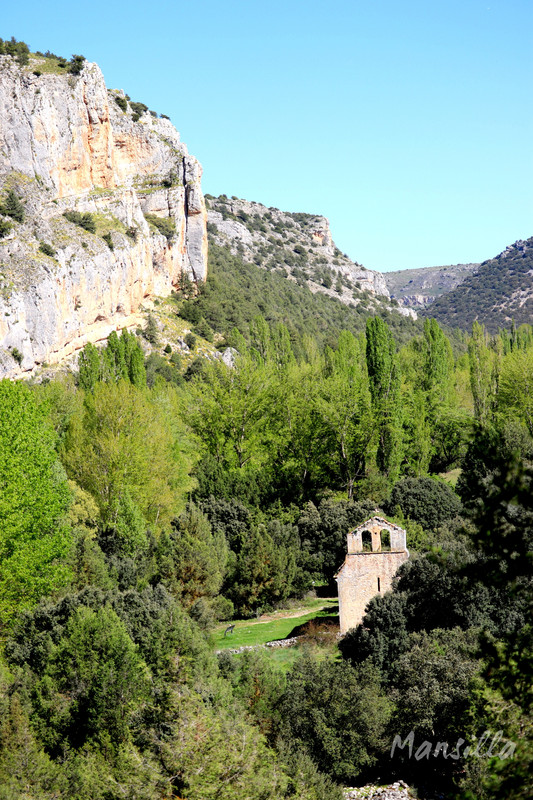 Hoces-del-Riaza-0951