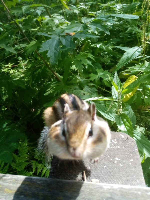 A8607BAA-F726-4E19-8D17-F0C4D15121E3