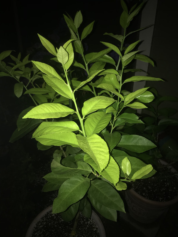 E412B453-CD84-4AB6-9E39-01242B62EBBB