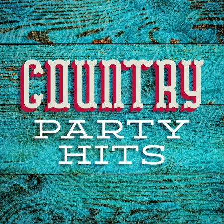 c549654c 5d86 484e a327 9736e198408b - VA - Country Party Hits (2022)
