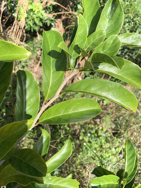 D76205D9-E666-405F-91EE-9DA357DA908D