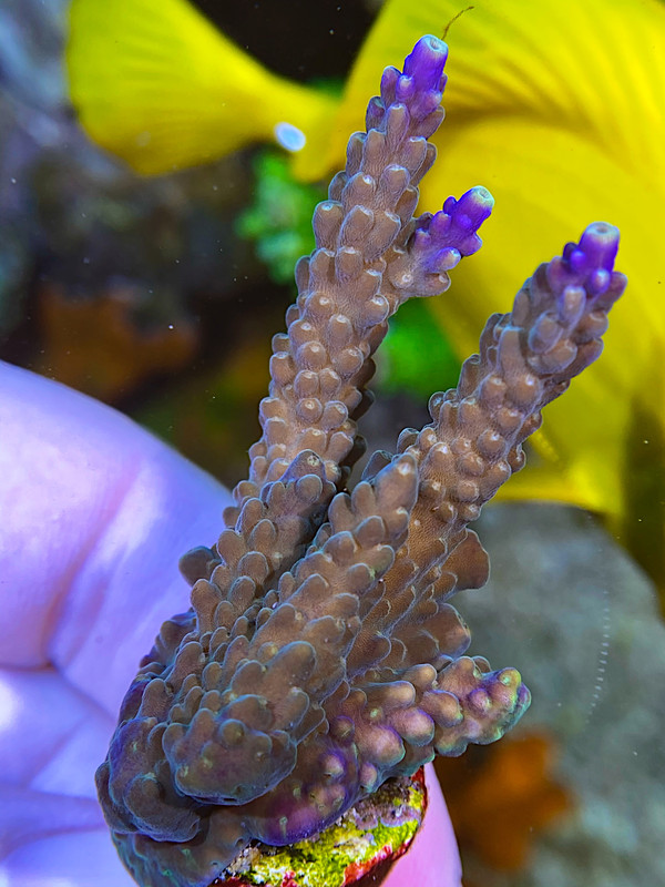 F984E4B1-E4B6-456E-8A34-CC9A0E7C4A0A