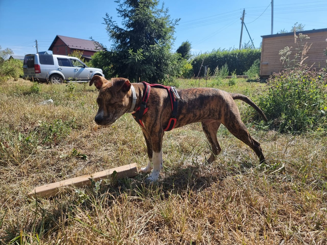 739E5768-BF61-4E86-92E8-0357C017EBD1