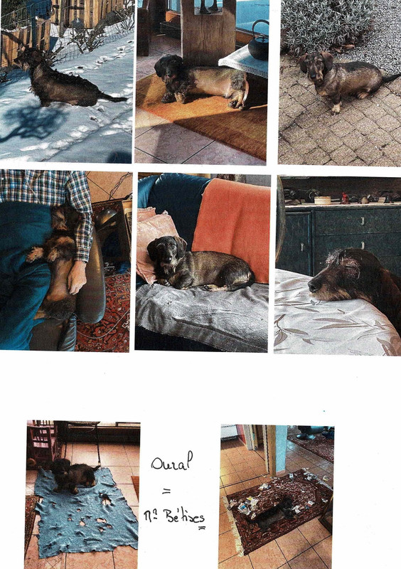 [Image: Num-risation-20210424.jpg]