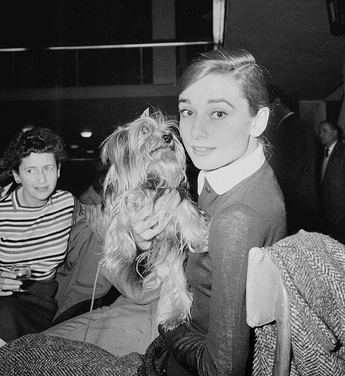 AudreyHepburn_mf06