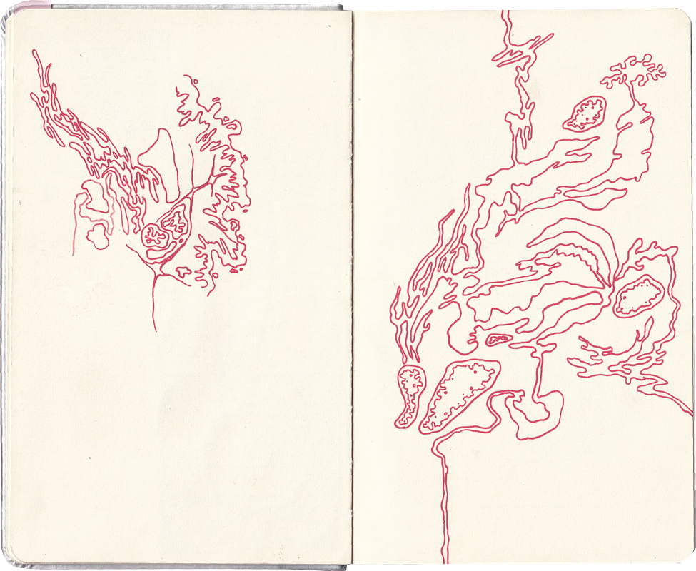 sketchbook-stribrny-07.png