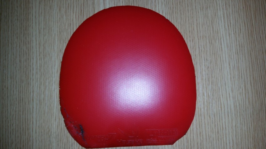 20161219_135901 (Small)