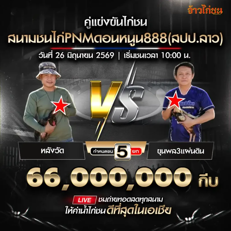 หลังวัด vs ขุนพล3แผ่นดิน โปรแกรมไก่ชน สนามชนไก่PNMดอนหนูน888 26 มิถุนายน 2569