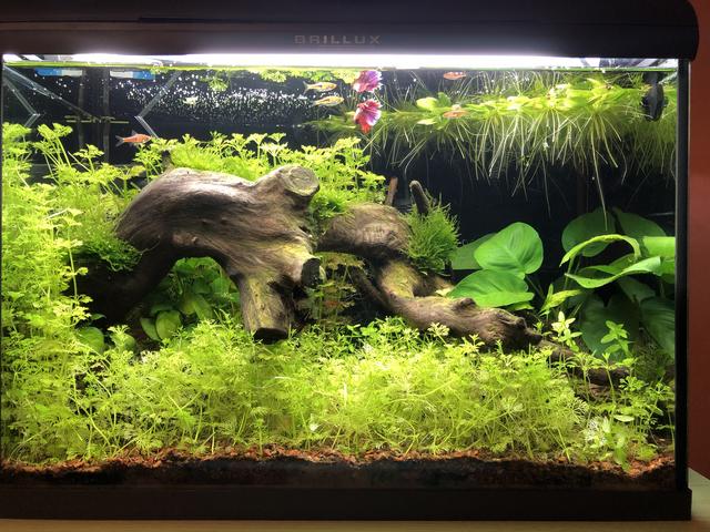 882E118B-8514-45D7-AD59-92B2A8F0391D