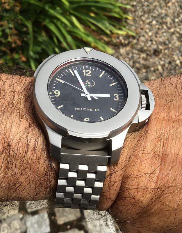 2A65E1C2-D7A0-4B34-BA0B-9F71B5C2984F