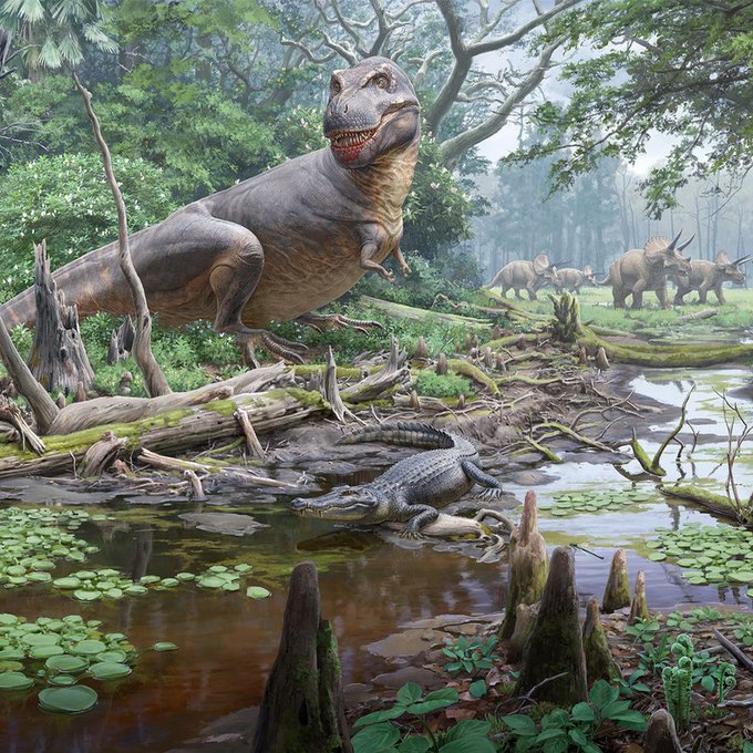 F801EE6A-2C72-40FC-9E08-D462AB591B4E