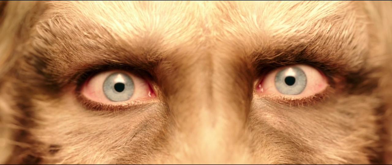 vlcsnap-2017-06-16-08h59m06s486