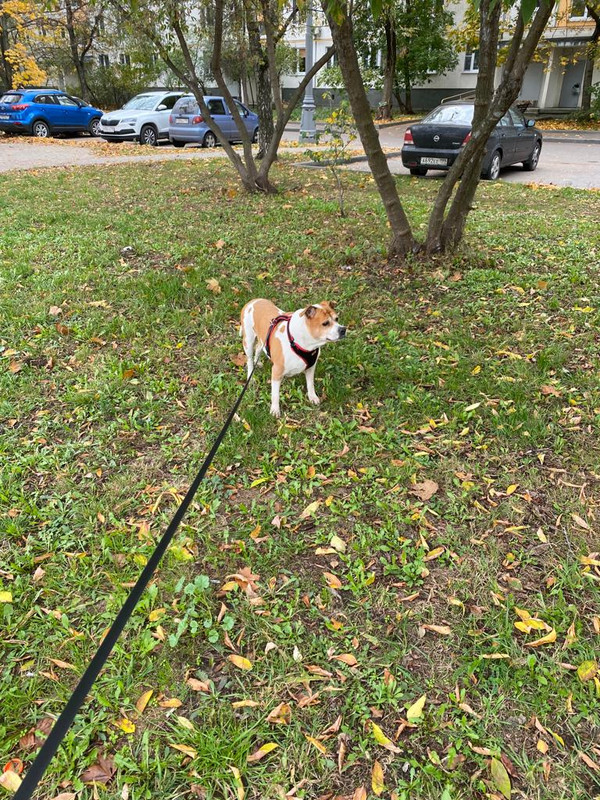 9FB98231-1287-457D-A625-C883905A639A