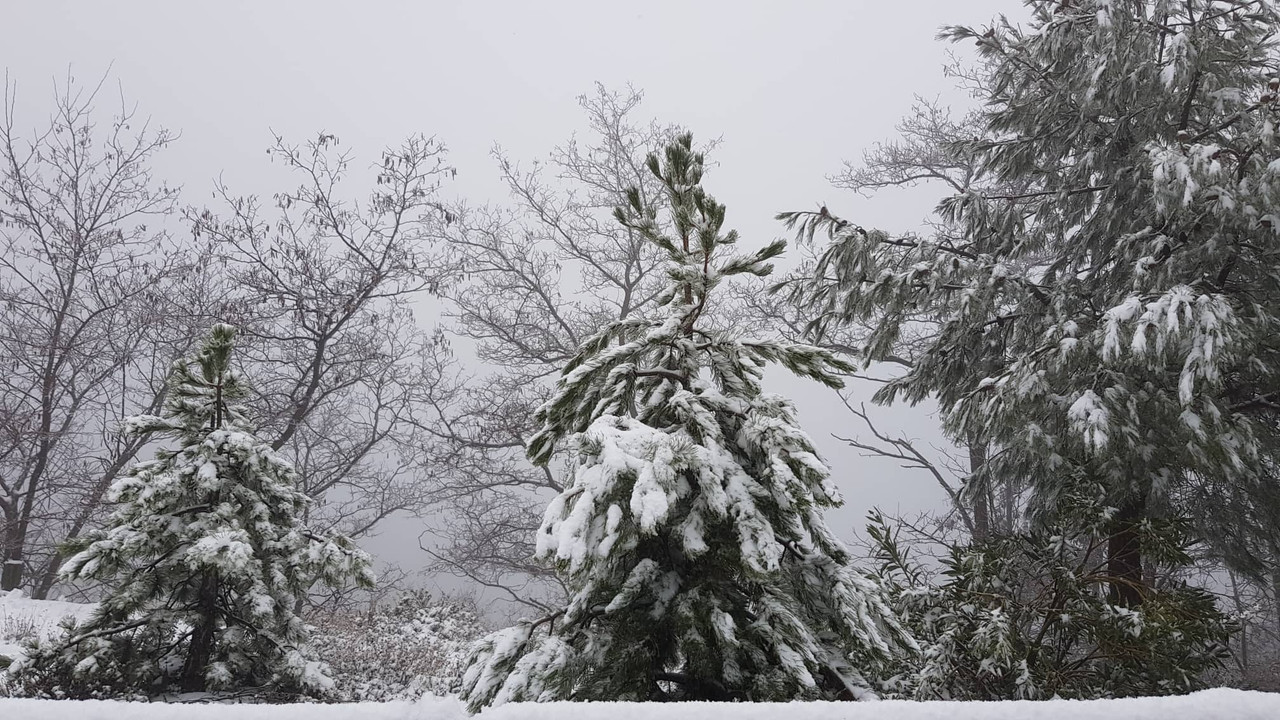 troodos3