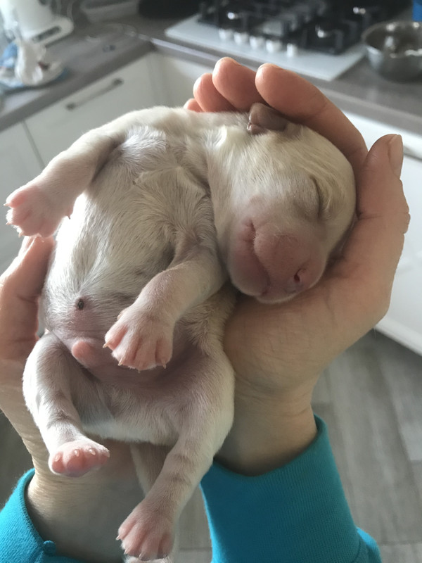 4BBCD3E5-5976-4EA0-A0C5-74C2E87E71F3